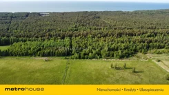 SGVAVI842 - zdjęcie nr 4