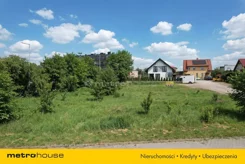 SGHIZY116 - zdjęcie nr 4