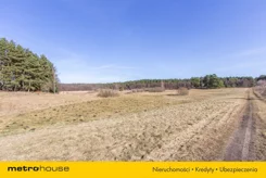 SGKORE145 - zdjęcie nr 4