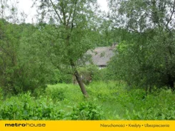 TOXY105 - zdjęcie nr 4