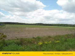 GUCY204 - zdjęcie nr 2