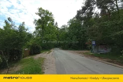 NENO843 - zdjęcie nr 2