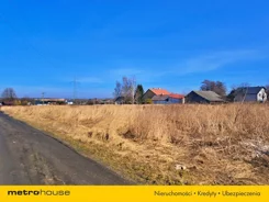 SGDOLI289 - zdjęcie nr 3