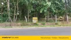 SGLAJY199 - zdjęcie nr 1