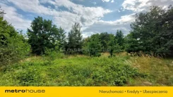 SGLAJY199 - zdjęcie nr 3