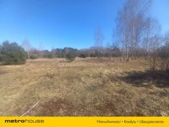 SGLAZE978 - zdjęcie nr 0