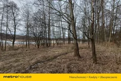 BISI807 - zdjęcie nr 4