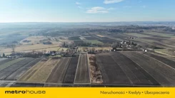 SGNUMU809 - zdjęcie nr 1