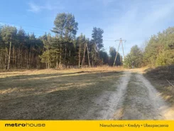 SGNIPA887 - zdjęcie nr 1