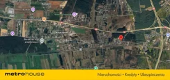 SGTANI459 - zdjęcie nr 4