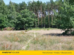 MYSE527 - zdjęcie nr 2