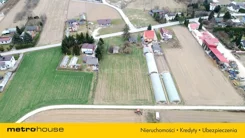SGFOMU726 - zdjęcie nr 3