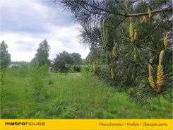PUNO567 - zdjęcie nr 3