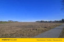 SGSIZU262 - zdjęcie nr 0
