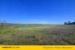 SGSIZU262 - zdjęcie nr 3