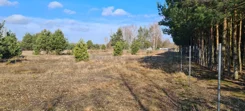 SGGIGY495 - zdjęcie nr 2
