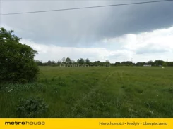 ZOSI109 - zdjęcie nr 2
