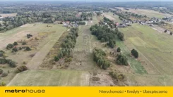 SGDOHY776 - zdjęcie nr 4