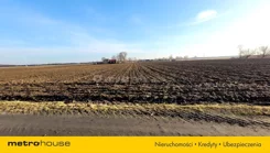 SGPOSU258 - zdjęcie nr 1