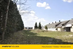 SURY724 - zdjęcie nr 1