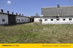 SURY724 - zdjęcie nr 3