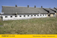 SURY724 - zdjęcie nr 4