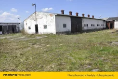 SURY724 - zdjęcie nr 5
