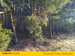 DIGY760 - zdjęcie nr 5