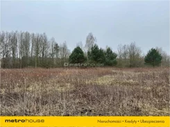 RAPY416 - zdjęcie nr 2