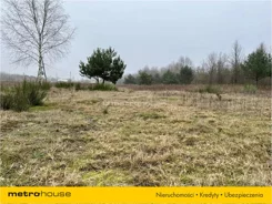 RAPY416 - zdjęcie nr 3