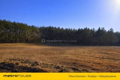 SGRUBO564 - zdjęcie nr 3