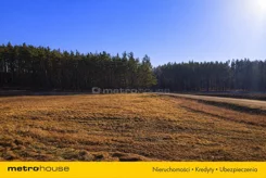 SGRUBO564 - zdjęcie nr 4