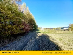 SGBODA398 - zdjęcie nr 3