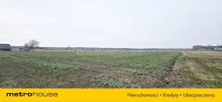 SGZOVO242 - zdjęcie nr 3