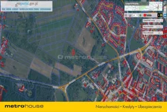 GILY332 - zdjęcie nr 4