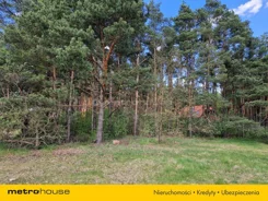 WEJO303 - zdjęcie nr 1