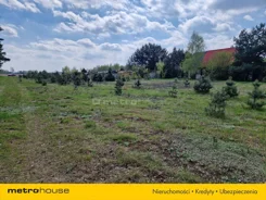 WEJO303 - zdjęcie nr 3