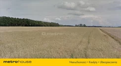 WADE870 - zdjęcie nr 1