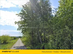 SGTEFU244 - zdjęcie nr 0