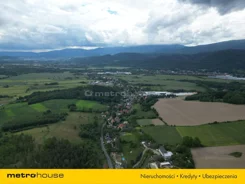 SGPORY452 - zdjęcie nr 4