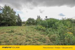 GYZE254 - zdjęcie nr 4