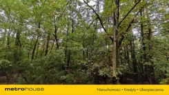 SGZACO307 - zdjęcie nr 1