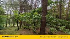 SGZACO307 - zdjęcie nr 4