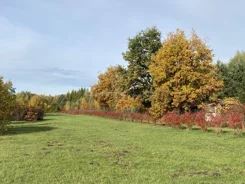 SGDABU414 - zdjęcie nr 0