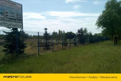GESO256 - zdjęcie nr 2