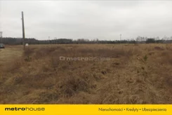 BULE142 - zdjęcie nr 4