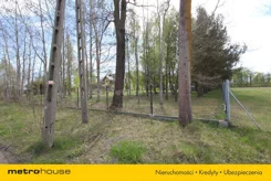 SGNUPA376 - zdjęcie nr 3
