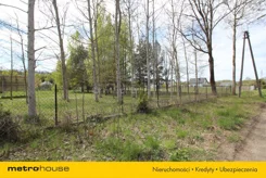 SGNUPA376 - zdjęcie nr 4
