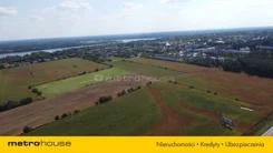 SGNUGY353 - zdjęcie nr 1