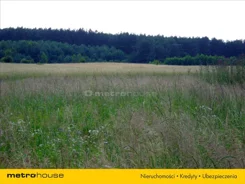 KIXE368 - zdjęcie nr 3